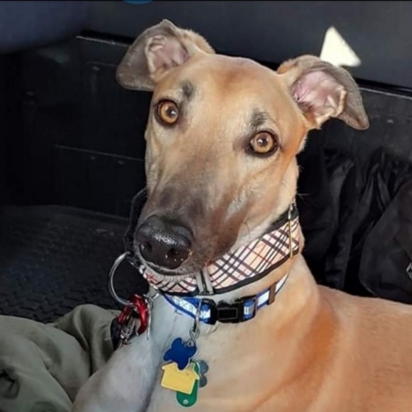 Happy Poshing! - Picture 6 of 13